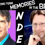 NDEs, Consciousness, Memory & MORE with Dr. Eben Alexander - 311