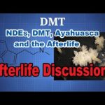 NDEs, DMT, Ayahuasca and the Afterlife