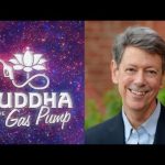 Rick Hanson - Cultivate Stillness & Equanimity - Staying Grounded in Reality – 2nd BatGap Interview