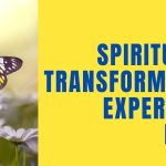 Spiritually Transformative Experience Panel (IANDS Conference)
