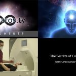 The Secrets of Consciousness | Part II: Consciousness Without Brain • Trailer