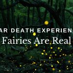 Near Death Experience: Fairies Are Real
