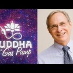 Bruce Greyson - Buddha at the Gas Pump Interview