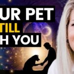 Connect With Your Pet On the OTHER SIDE! Megan Sisk | Animal Communicator