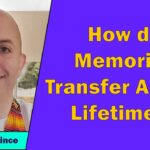 Adam Dince - How do Memories Transfer Across Lifetimes?